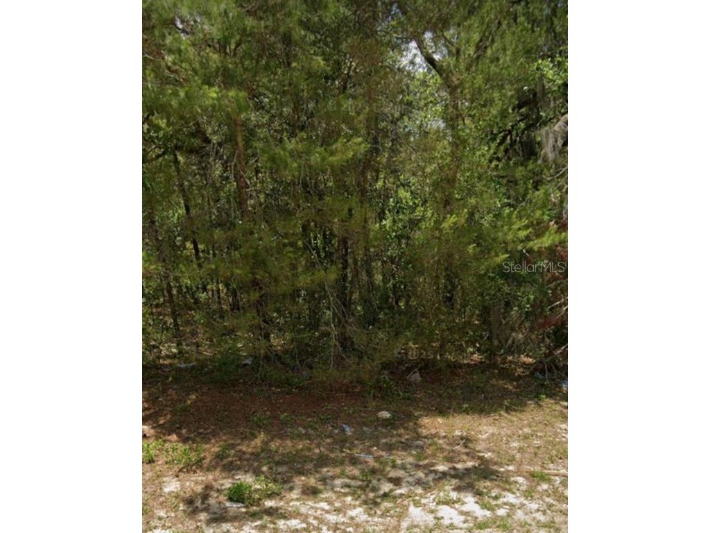 TBD SW 81st Avenue Ocala FL 34473 S5130904 image1