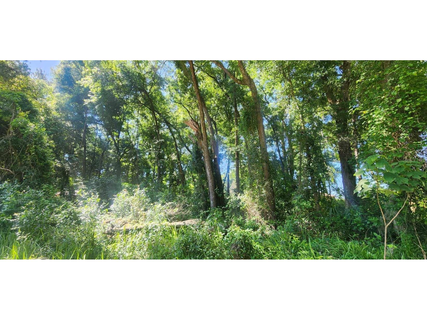 TBD SW 81st Place Ocala FL 34476 OM677014 image1