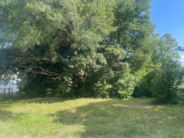 TBD SW 81st Street Dunnellon FL 34431 OM703094 image1