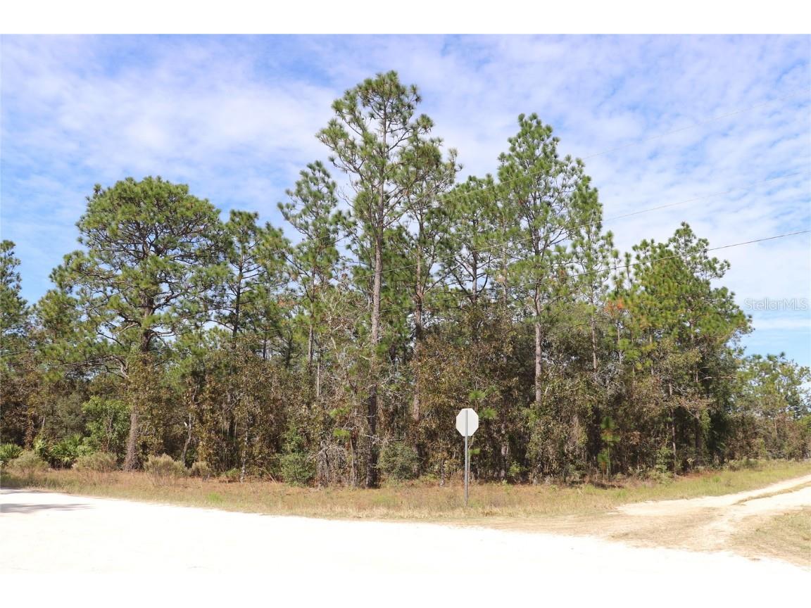 TBD SW 81st Street Dunnellon FL 34432 A4670931 image1