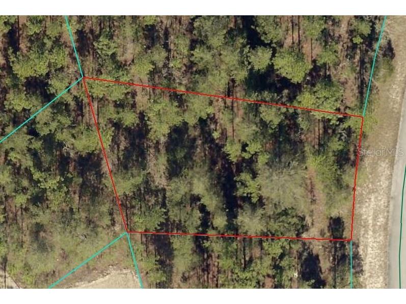 TBD SW 84th Terrace Road Ocala FL 34473 OM709645 image1