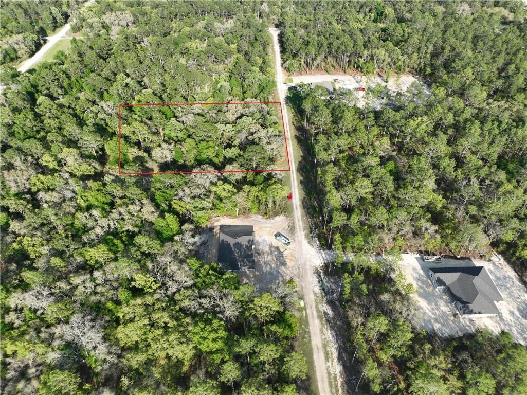 TBD SW 87 Street Dunnellon FL 34432 O6294243 image1