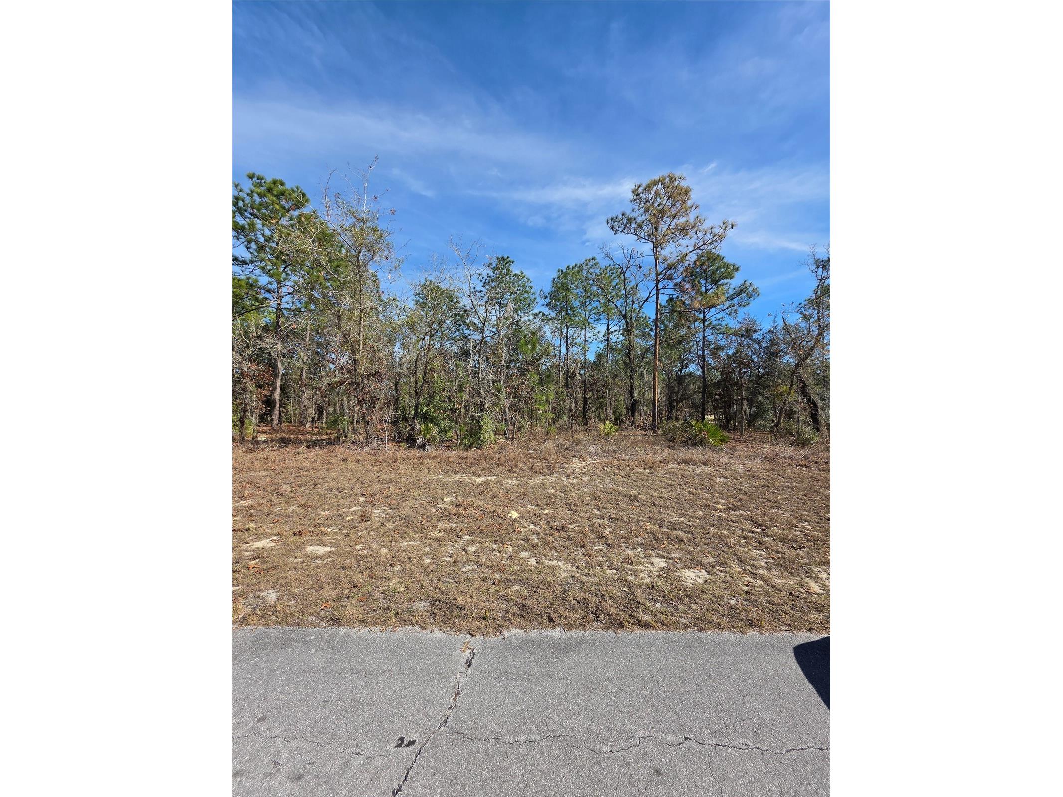 TBD SW 87th Avenue Ocala FL 34473 OM717016 image1