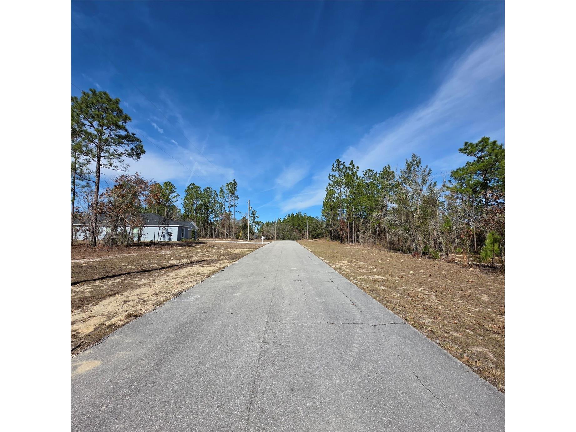TBD SW 87th Avenue Ocala FL 34473 OM717016 image3