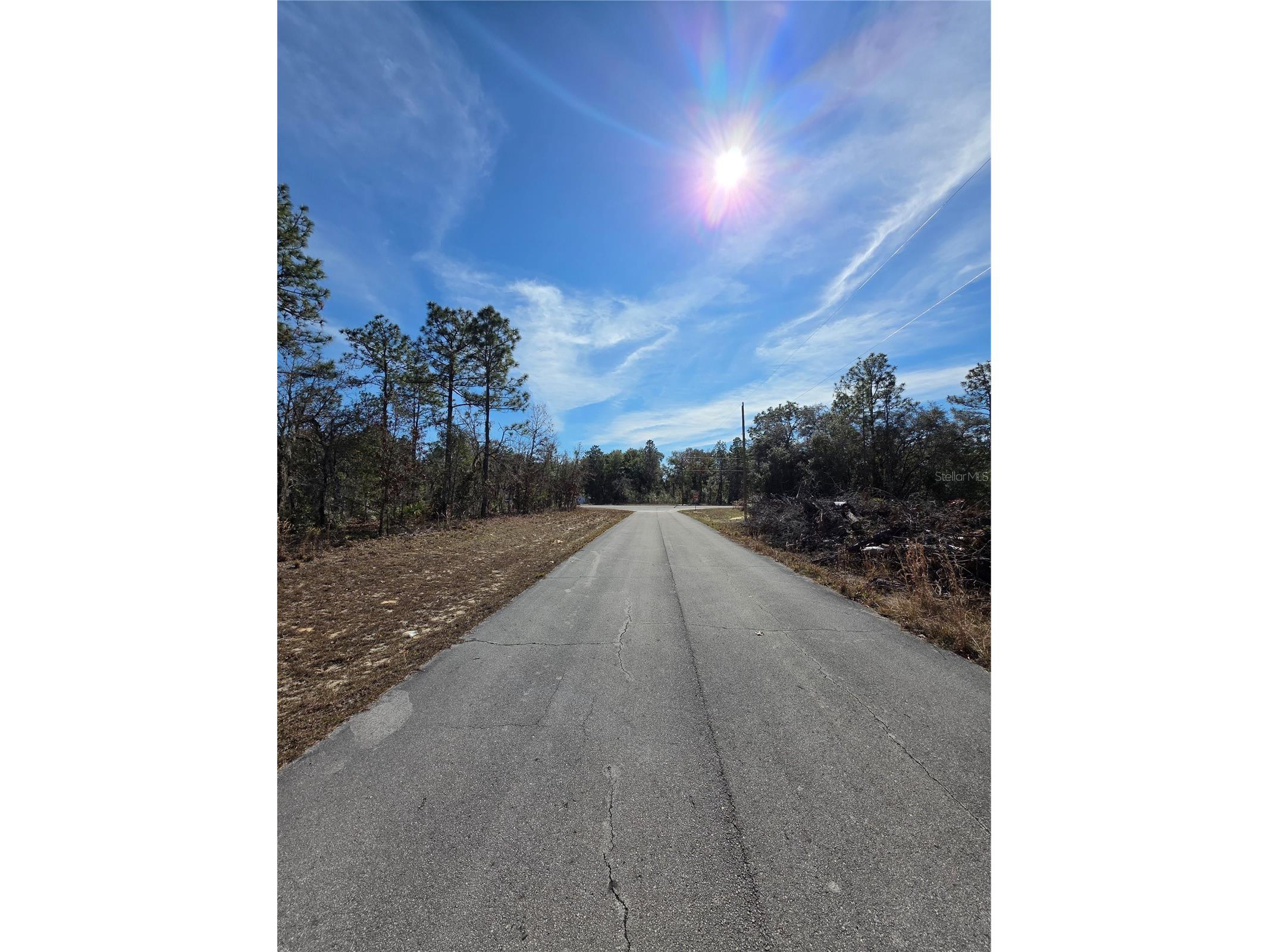 TBD SW 87th Avenue Ocala FL 34473 OM717016 image4
