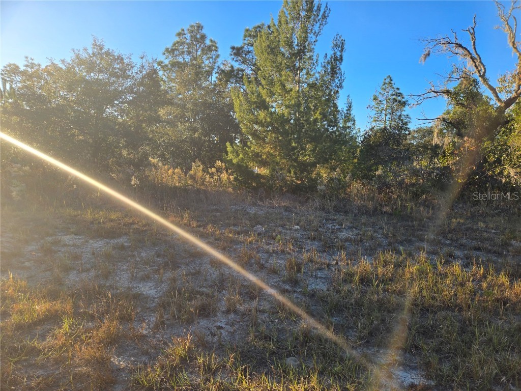 TBD SW 88 Court Ocala FL 34473 OM690579 image1