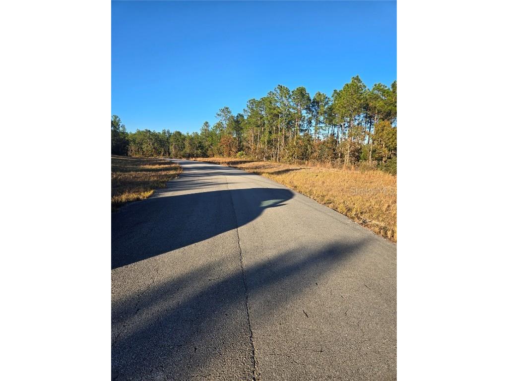 TBD SW 88 Court Ocala FL 34473 OM690579 image2
