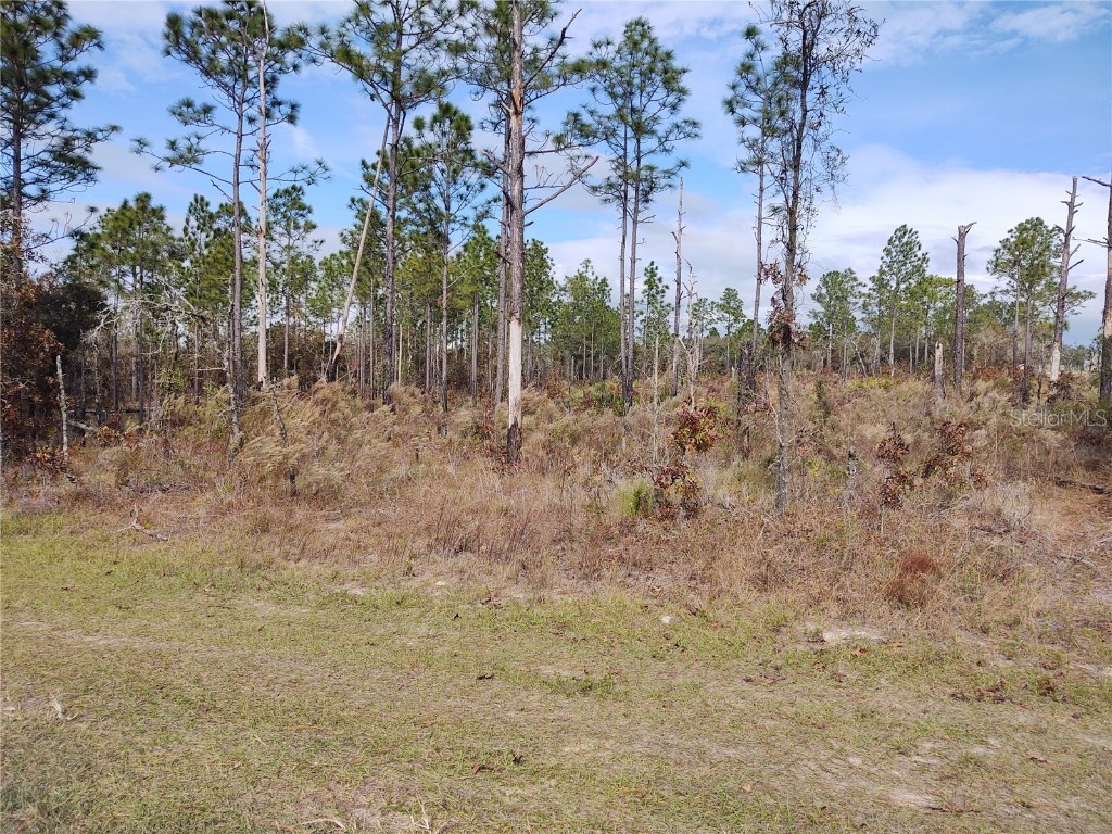 TBD SW 88th. Street Dunnellon FL 34432 OM630880 image1