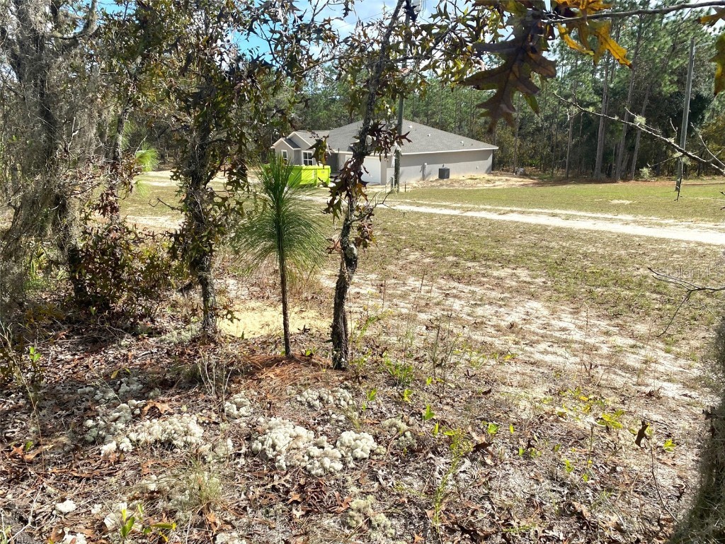 TBD SW 88th Street Dunnellon FL 34432 OM648306 image1