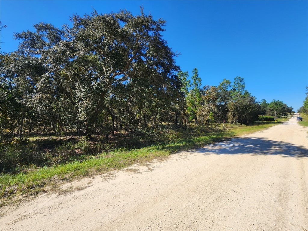 TBD Sw 88th Street Dunnellon FL 34432 OM666546 image1