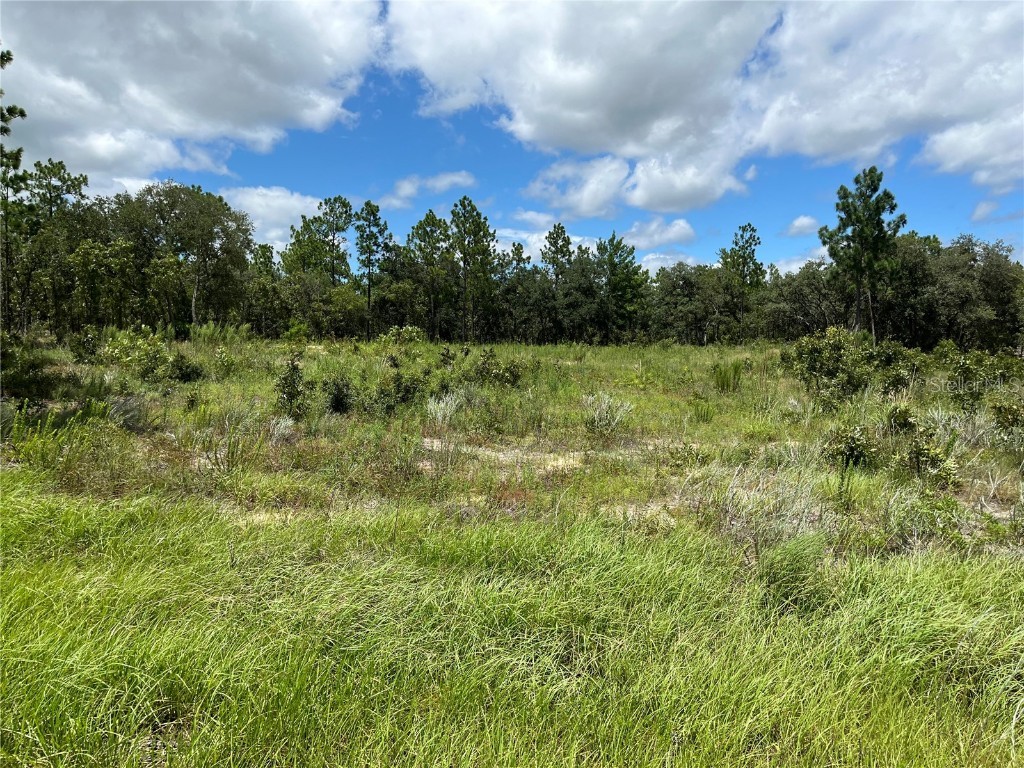 TBD SW 88th Street Dunnellon FL 34432 OM683366 image1