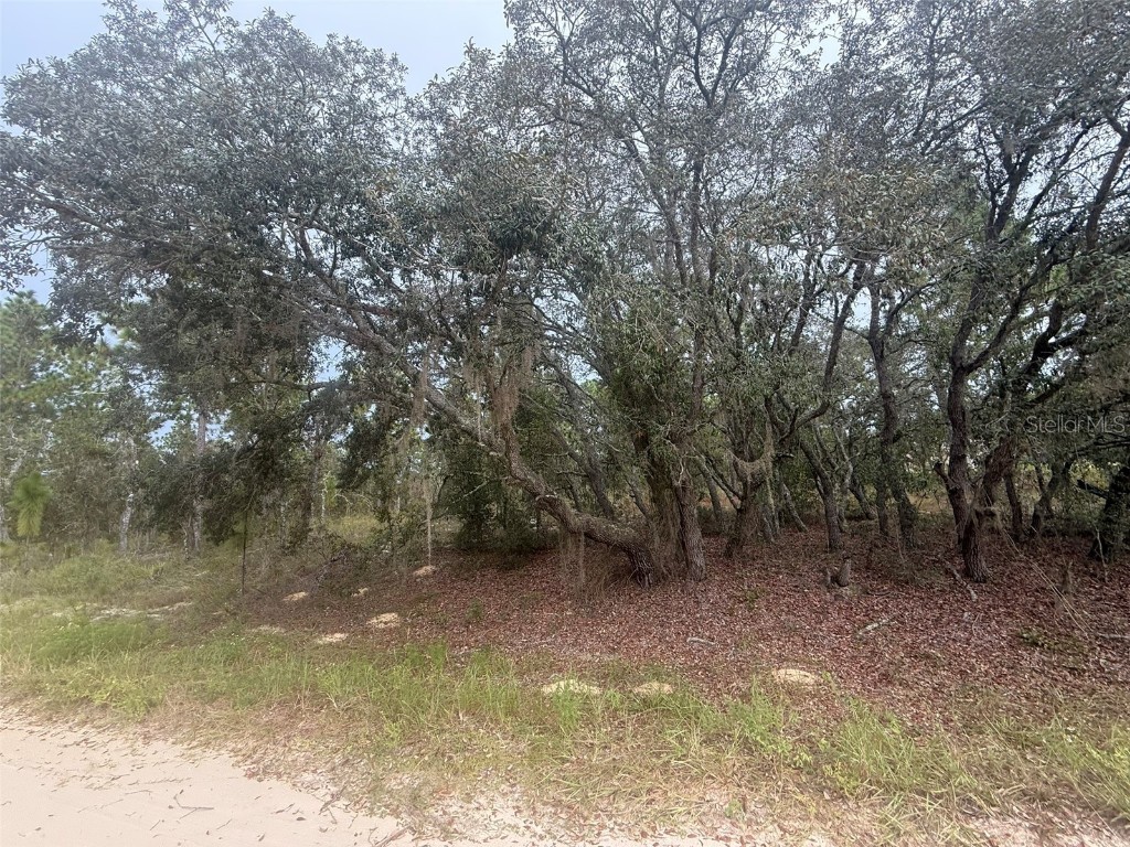 TBD Sw 89th St Lot 3 E 1/2 Dunnellon FL 34432 OM710354 image3
