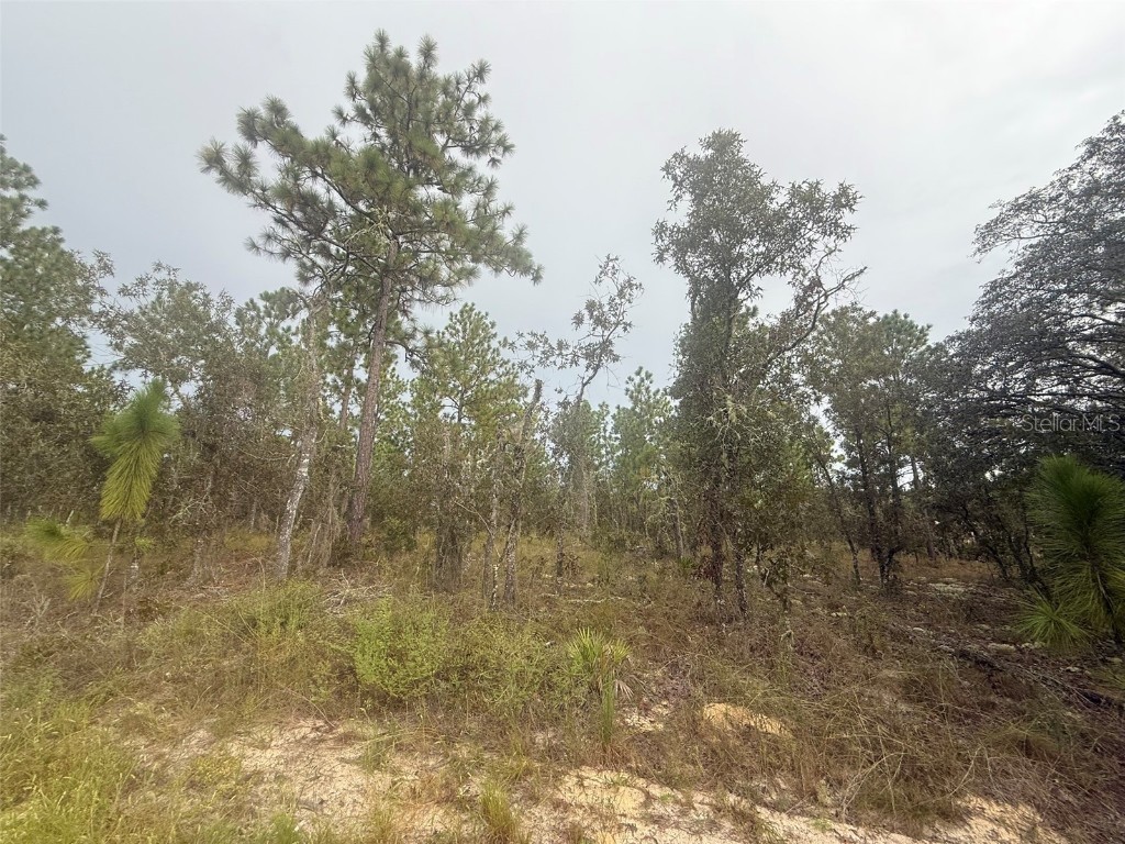 TBD Sw 89th St Lot 3 E 1/2 Dunnellon FL 34432 OM710354 image4