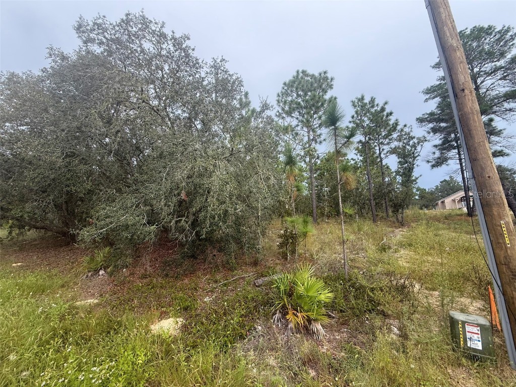 TBD Sw 89th St Lot 3 E 1/2 Dunnellon FL 34432 OM710354 image5