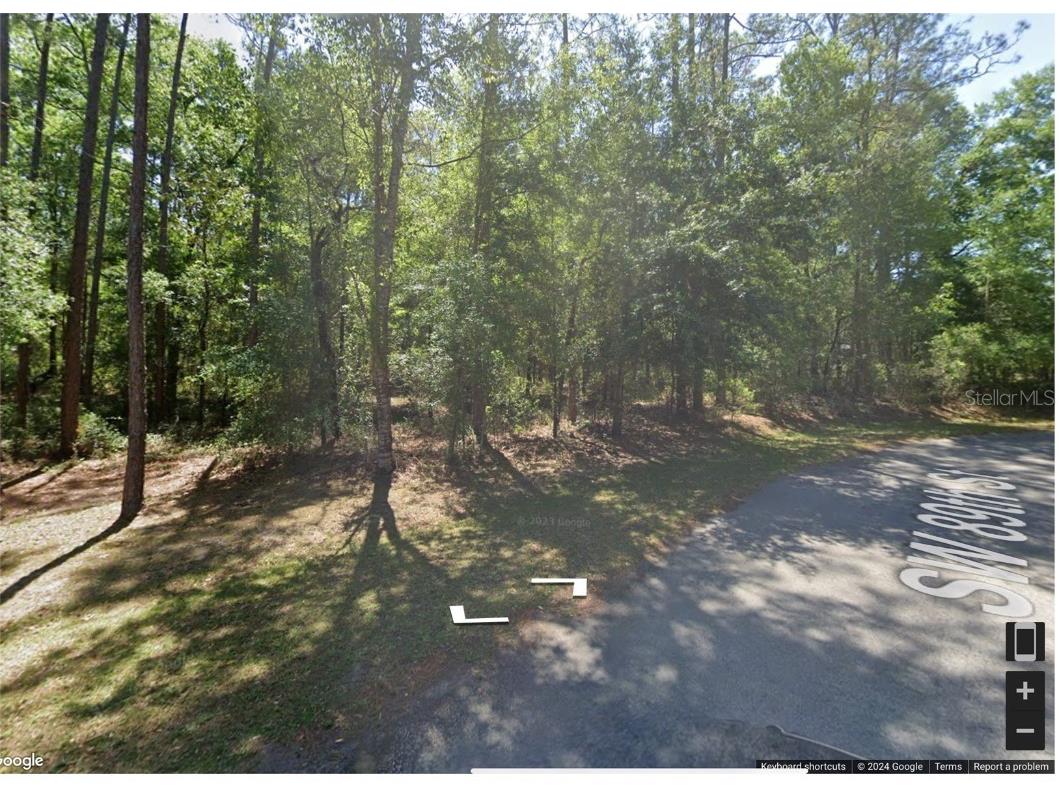 TBD SW 89th Street Dunnellon FL 34431 OM676027 image1