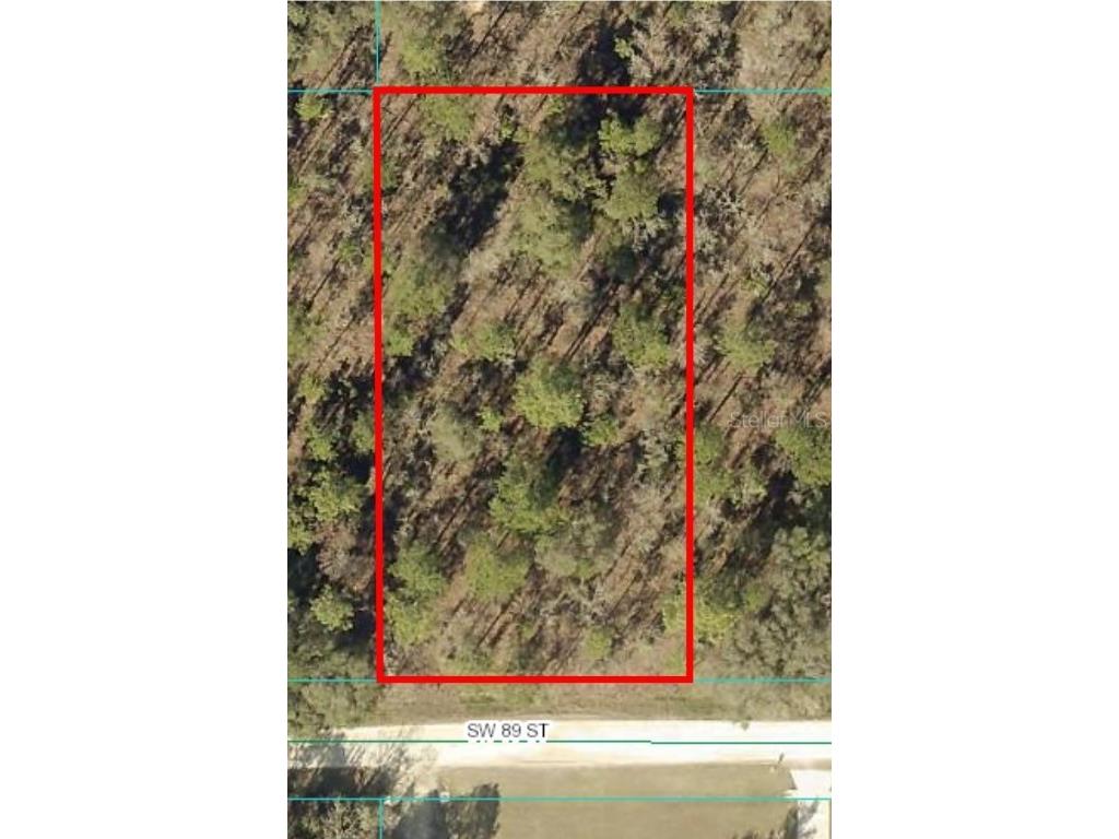 TBD SW 89th Street Dunnellon FL 34432 OM687771 image1