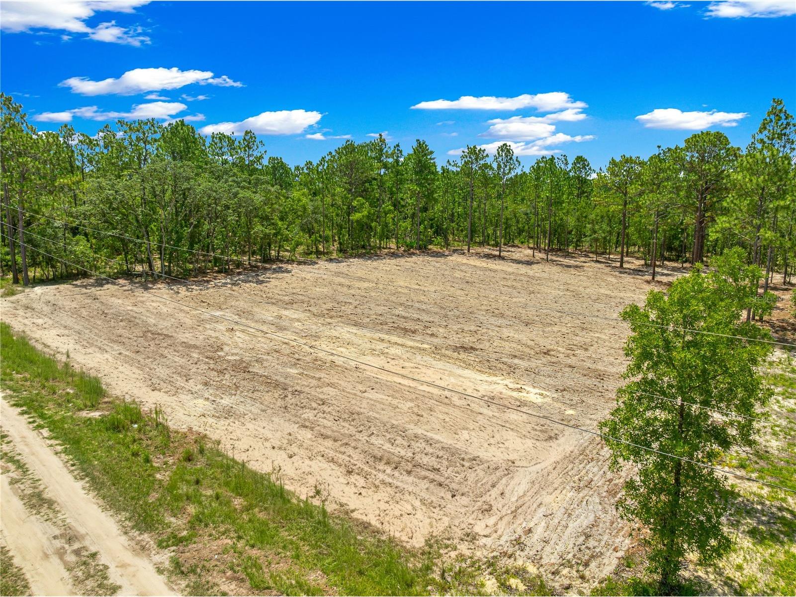TBD SW 90 Place Dunnellon FL 34432 O6419992 image12