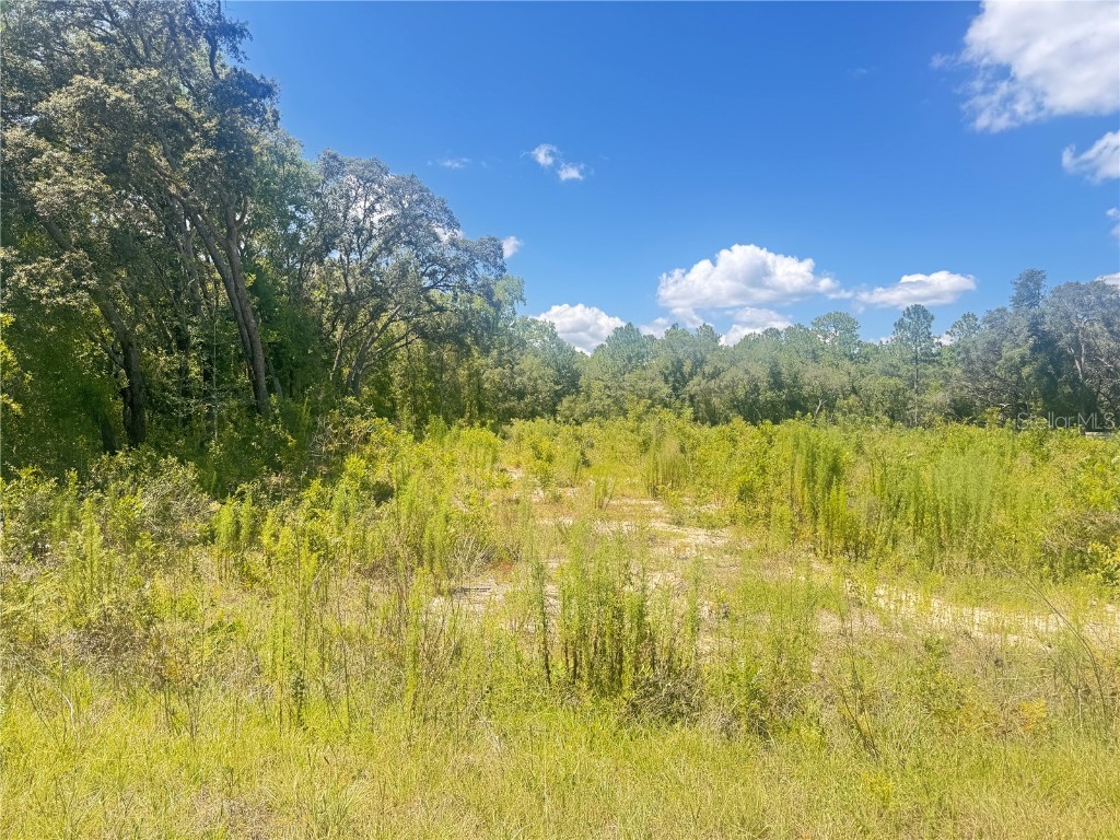 TBD SW 91 Lane Dunnellon FL 34432 OM704460 image1