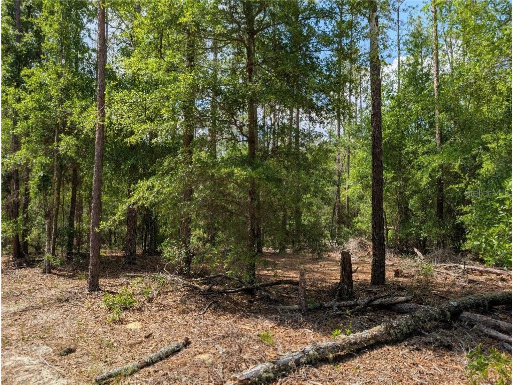 TBD Sw 93rd Lane Dunnellon FL 34431 OM699779 image3