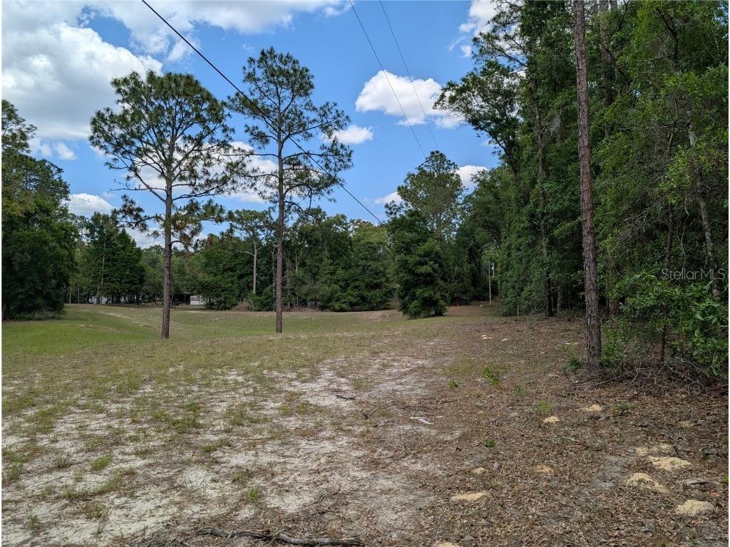 TBD Sw 93rd Lane Dunnellon FL 34431 OM699779 image4