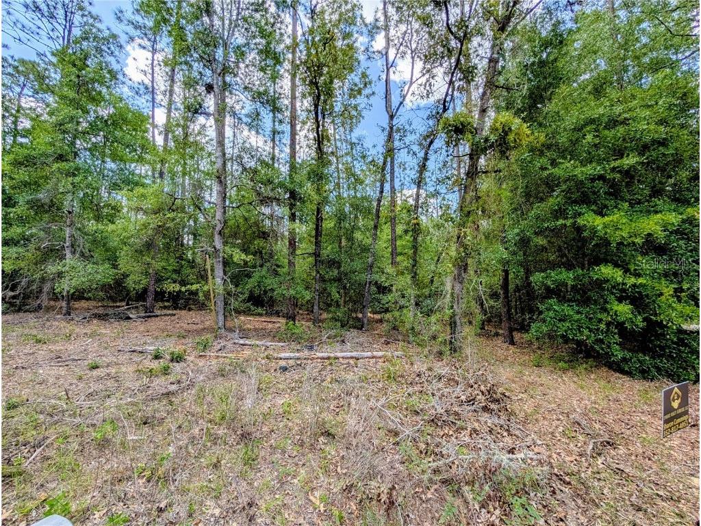 TBD Sw 93rd Lane Dunnellon FL 34431 OM699779 image5