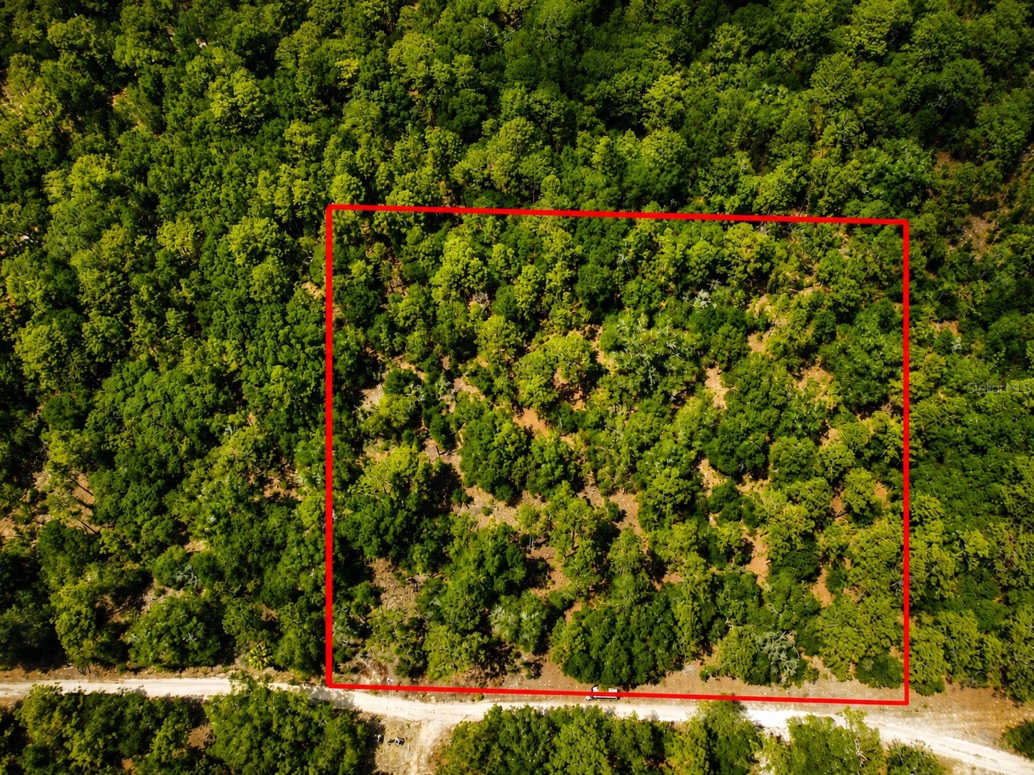TBD Sw 93rd Place Dunnellon FL 34432 GC540377 image4