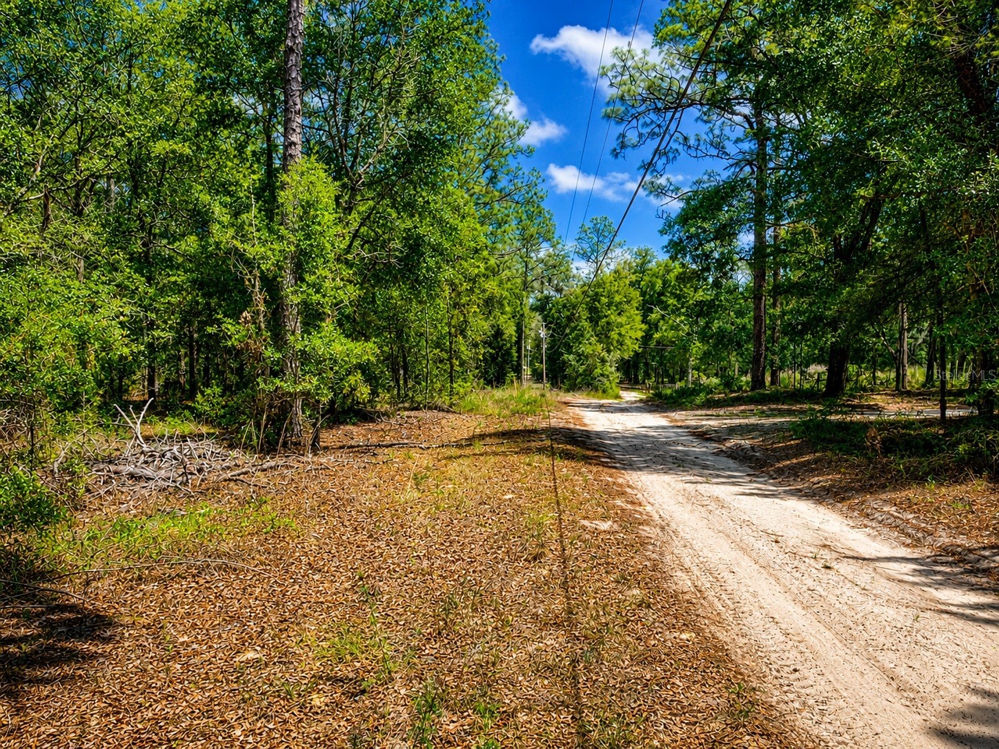 TBD Sw 93rd Place Dunnellon FL 34432 GC540377 image9