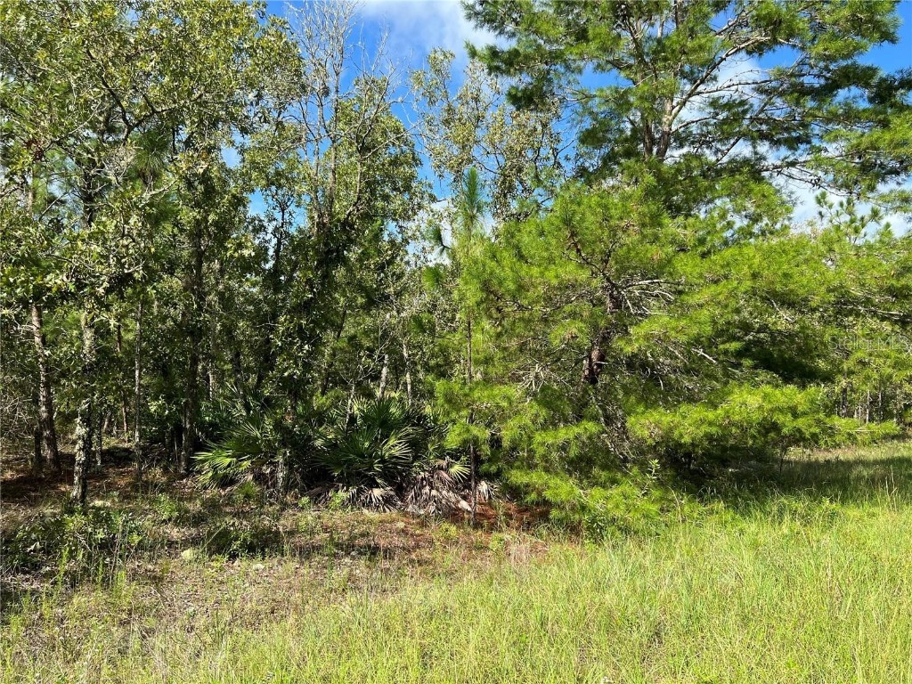 TBD SW 93rd Street Dunnellon FL 34432 OM715100 image1