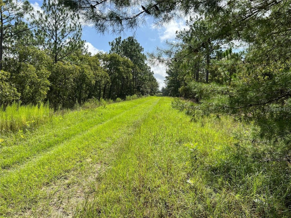 TBD SW 93rd Street Dunnellon FL 34432 OM715100 image2