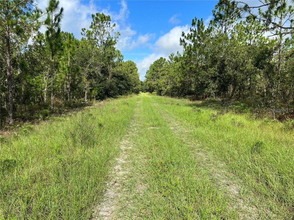 TBD SW 93rd Street Dunnellon FL 34432 OM715100 image3