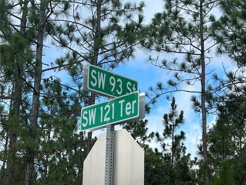 TBD SW 93rd Street Dunnellon FL 34432 OM715100 image7