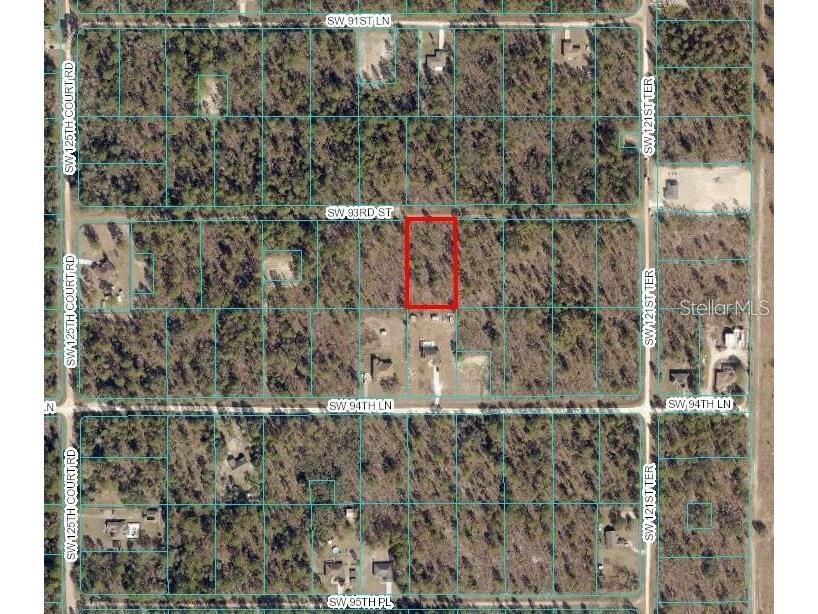 TBD SW 93rd Street Dunnellon FL 34432 OM715100 image9
