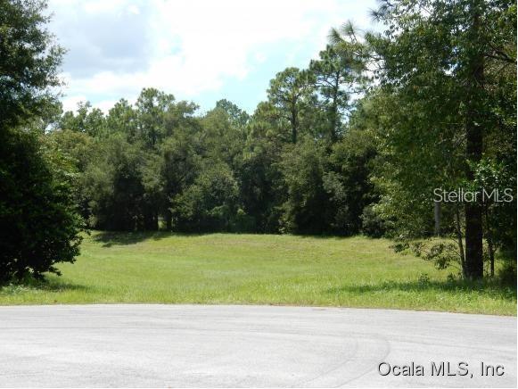 TBD SW 96th Place Dunnellon FL 34432 OM675225 image1