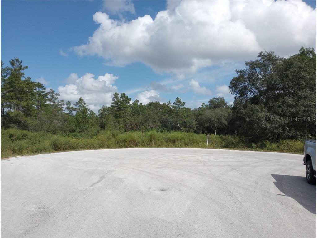 TBD SW 98 Place Ocala FL 34476 OM666845 image1