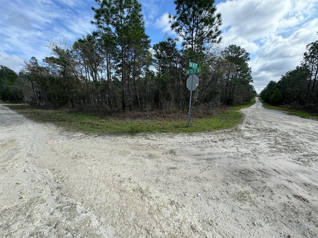 TBD SW 98 Street Dunnellon FL 34432 OM674253 image1