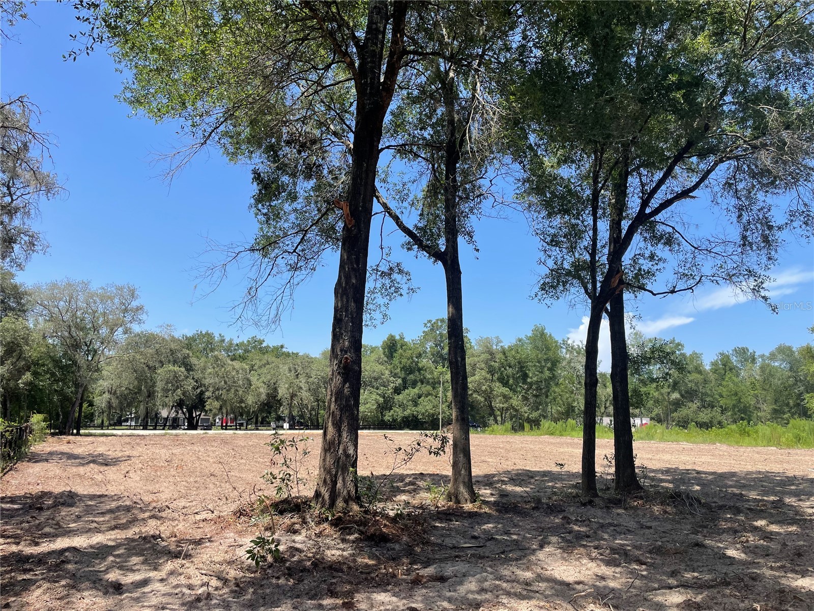TBD SW 98th Street Dunnellon FL 34432 O6427320 image4