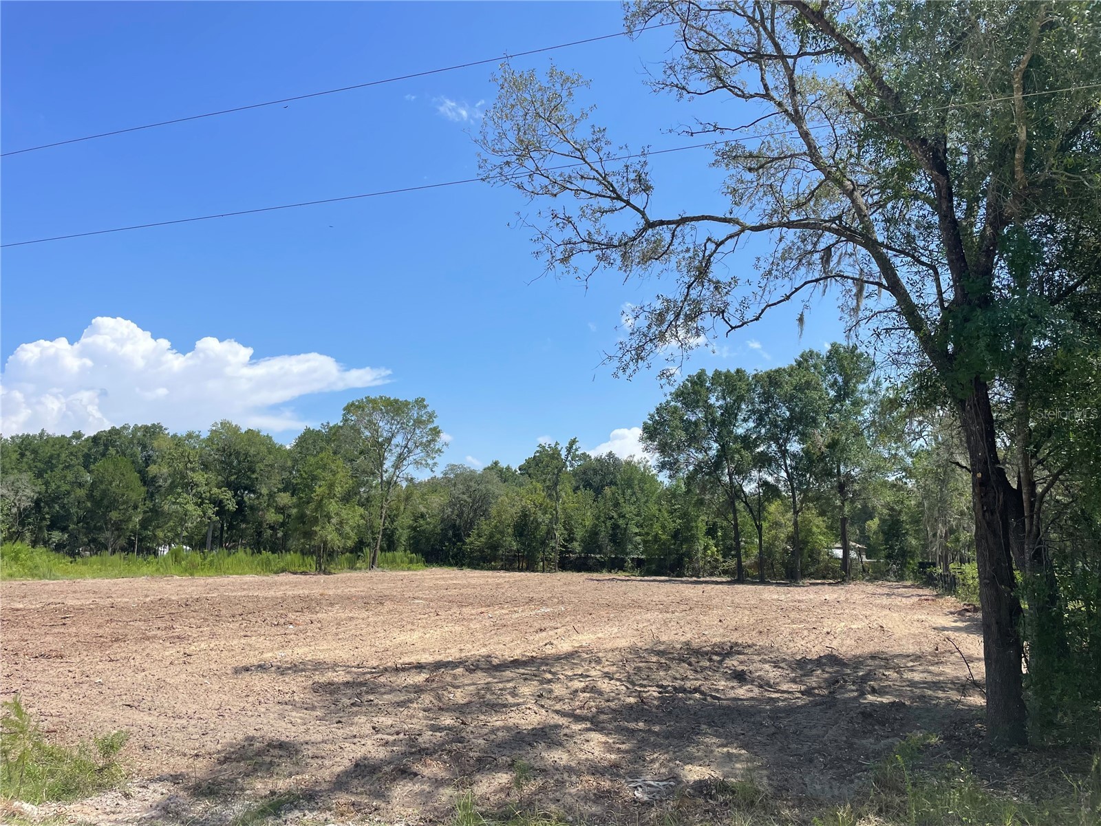 TBD SW 98th Street Dunnellon FL 34432 O6427320 image48