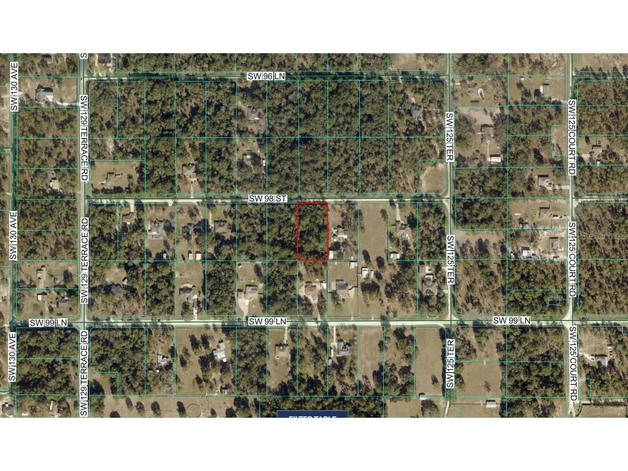 TBD SW 98th Street Dunnellon FL 34432 OM725697 image2