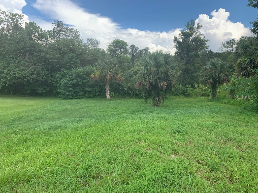 TBD SW 9th Avenue Ocala FL 34471 OM707089 image7