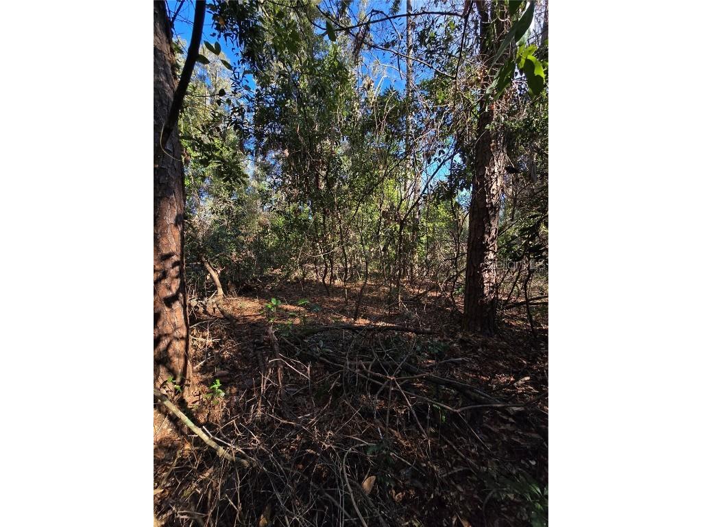 TBD SW Alabama Glen Fort White FL 32038 GC527720 image1