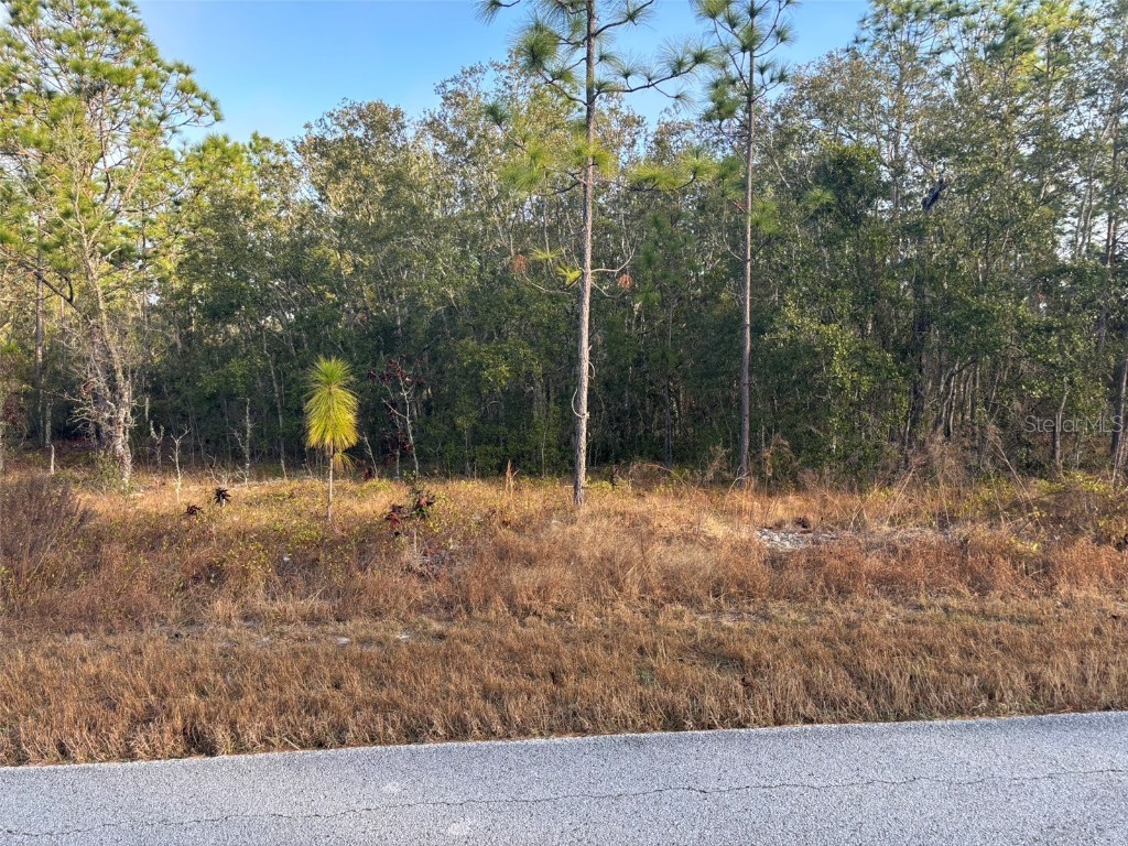 TBD SW Ancher Boulevard Dunnellon FL 34431 OM694445 image1