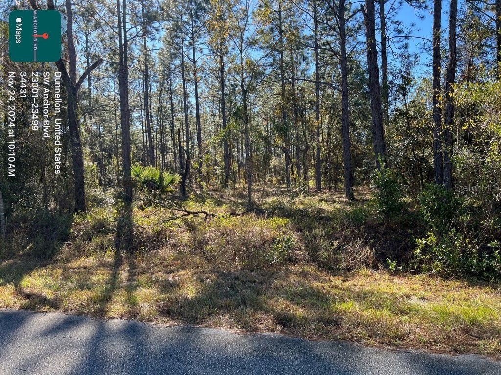 TBD SW Anchor Blvd Dunnellon FL 34431 OM690191 image1