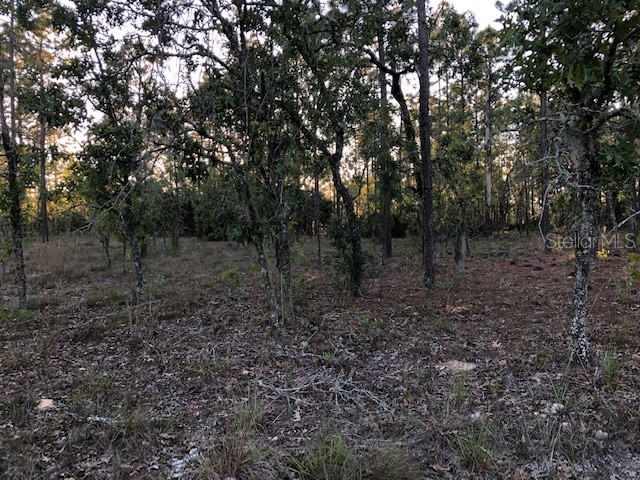 TBD SW Anchor Boulevard Dunnellon FL 34431 - TIGER LAKE LAKE BONABLE OM656796 image1