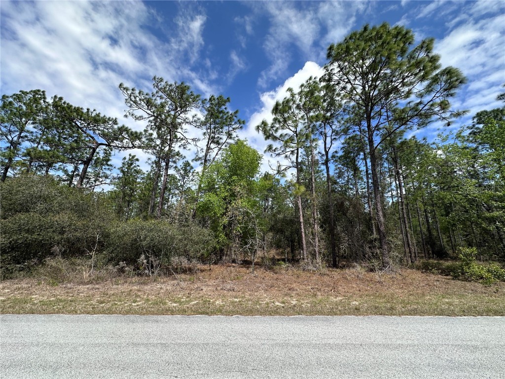 TBD SW Anchor Boulevard Dunnellon FL 34431 OM696044 image1