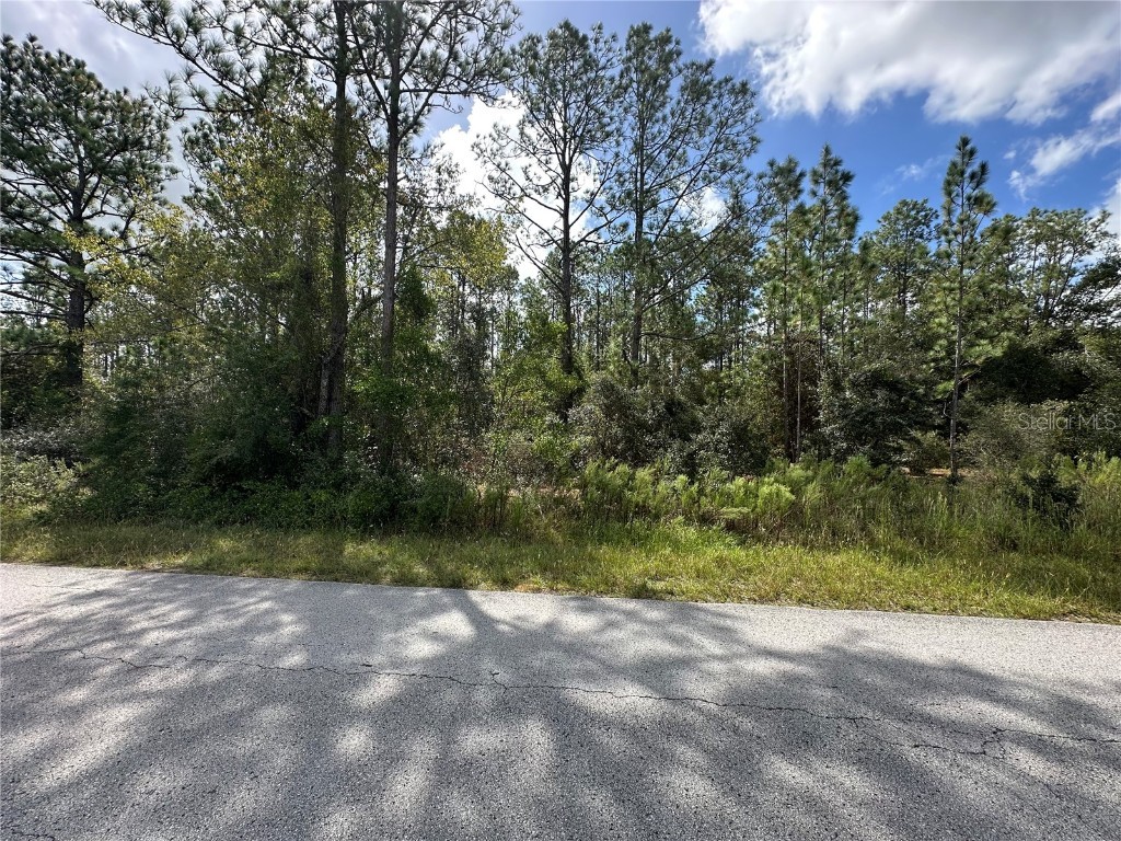 TBD SW Audubon Avenue Dunnellon FL 34431 OM711101 image1