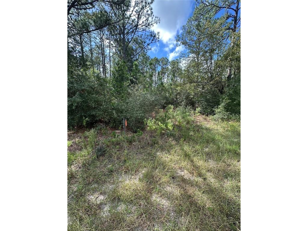 TBD SW Audubon Avenue Dunnellon FL 34431 OM711101 image6