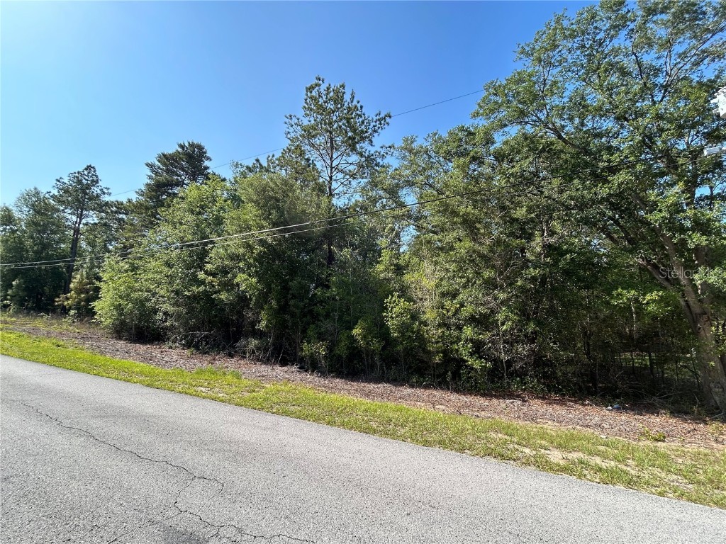TBD SW Audubon Avenue Dunnellon FL 34432 OM700887 image2