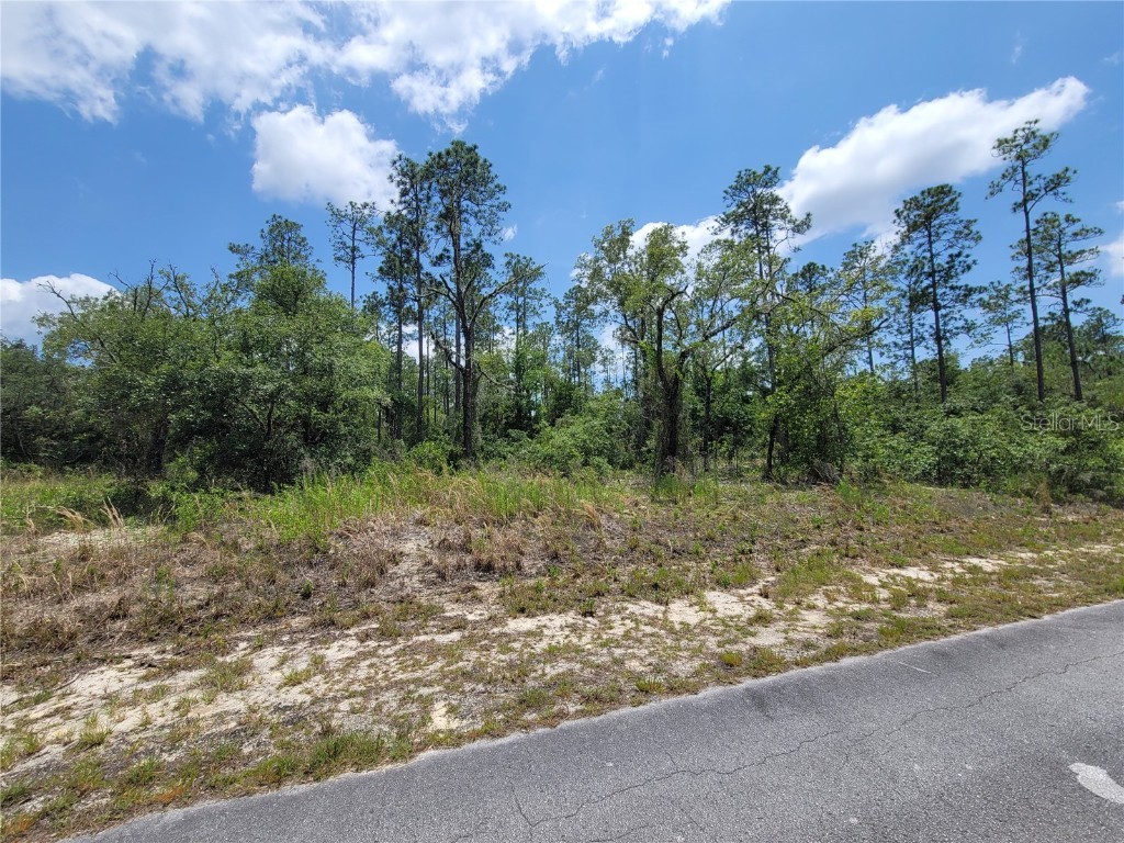 TBD SW Barnacle Drive Dunnellon FL 34431 OM679352 image1