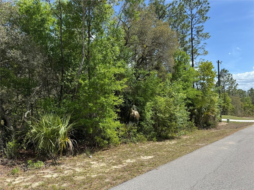 TBD SW Big Bear Ridge Dunnellon FL 34431 OM698919 image3