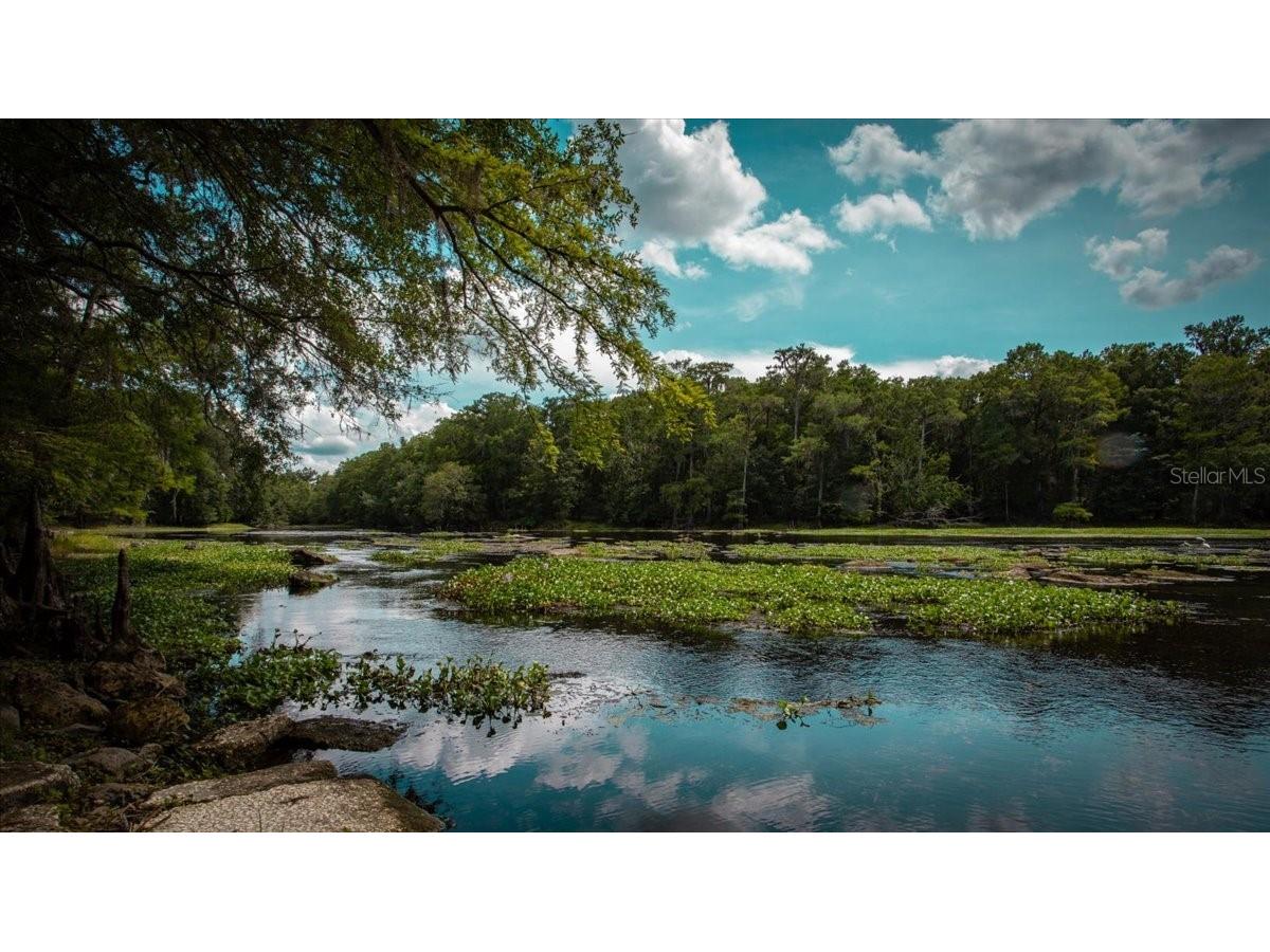 TBD SW Bluebird Court Fort White FL 32038 GC540833 image10